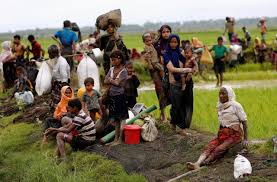 Rohingya